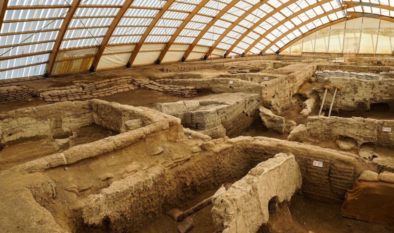 Untitled Design - 2025-08-29T185234.416