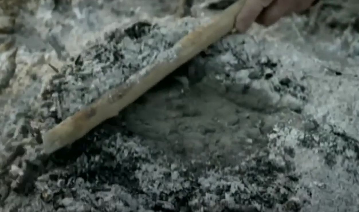 Experimental Replication Process (Cont.)