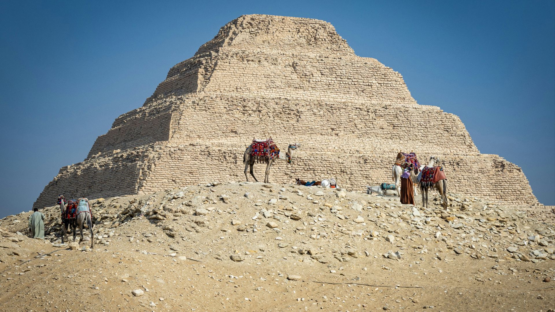 A group of horses standing in front of a pyramid