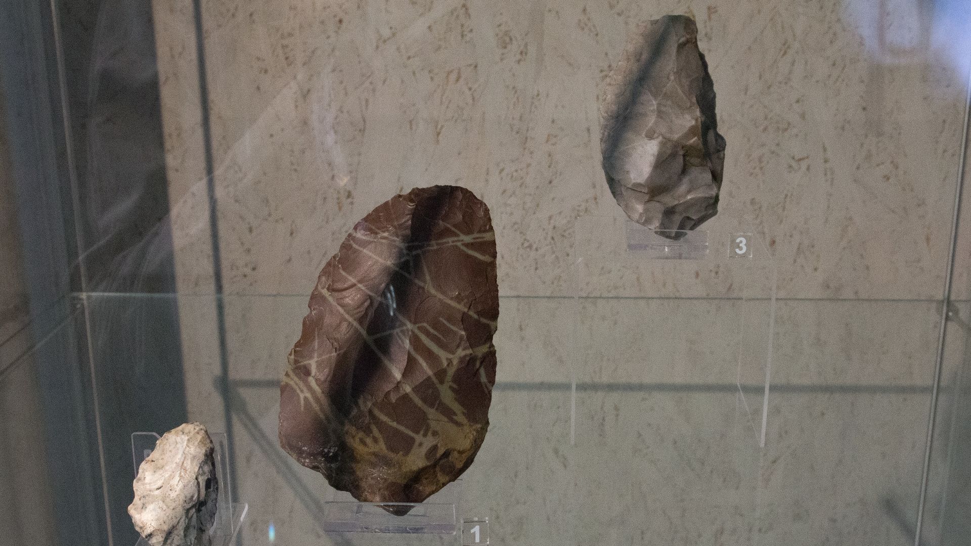 File:Neandertal handaxes from Moravia, Welcome to the Neandertals, Brno, 187915.jpg