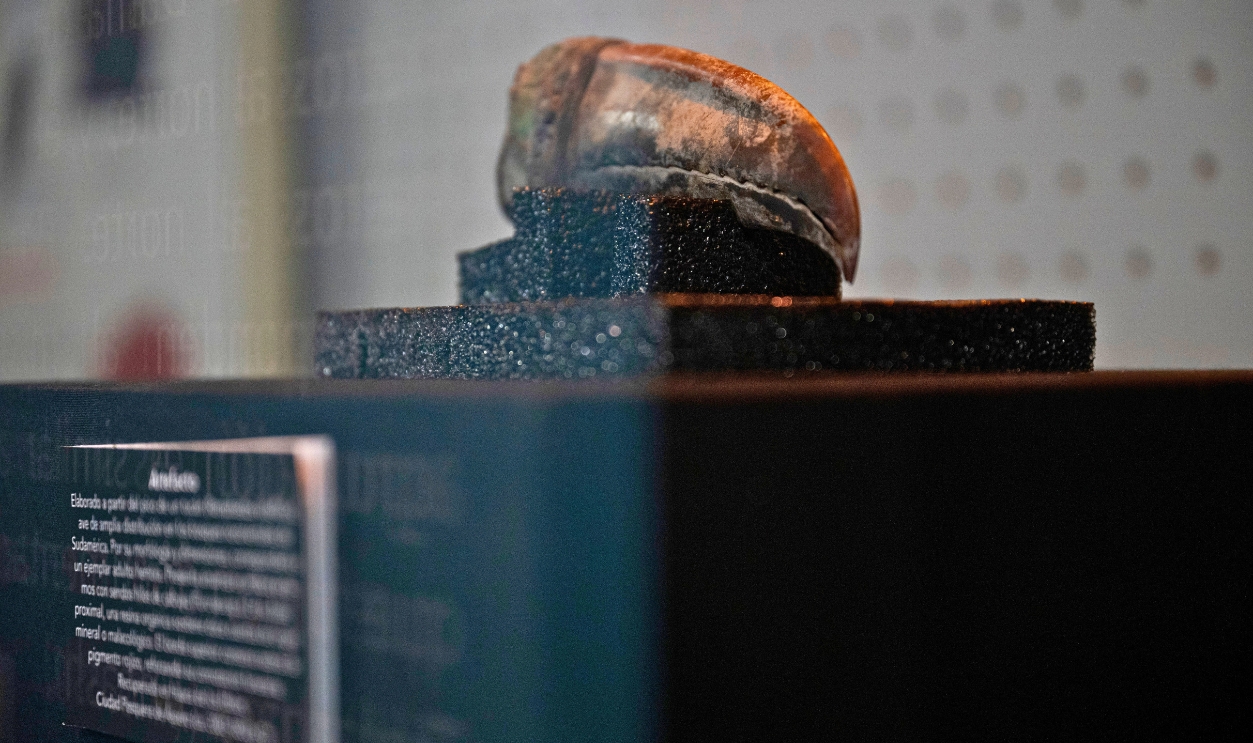 2211159225 - Pututus And Their Symbolic Role