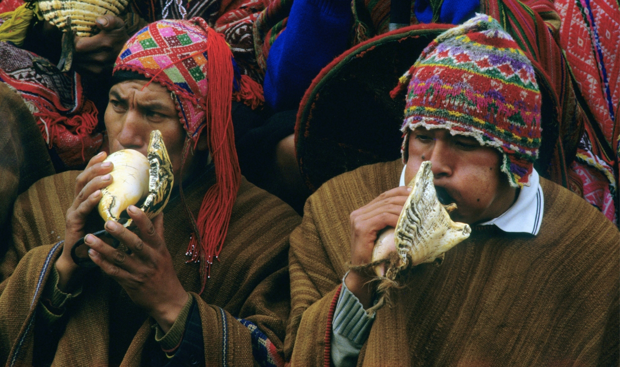 1419561309 - Pututus