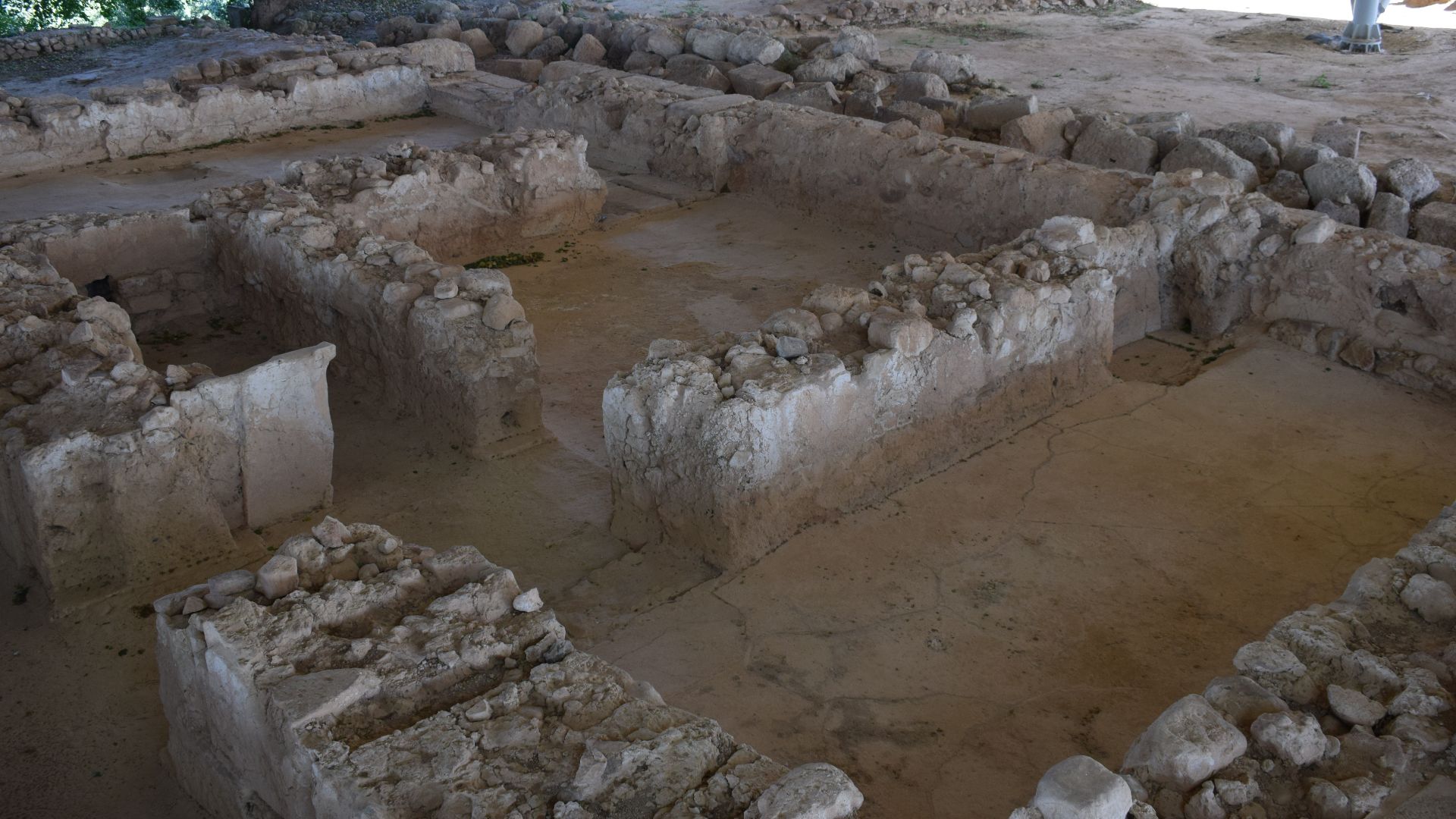 File:20190508 088 pylos nestor.jpg