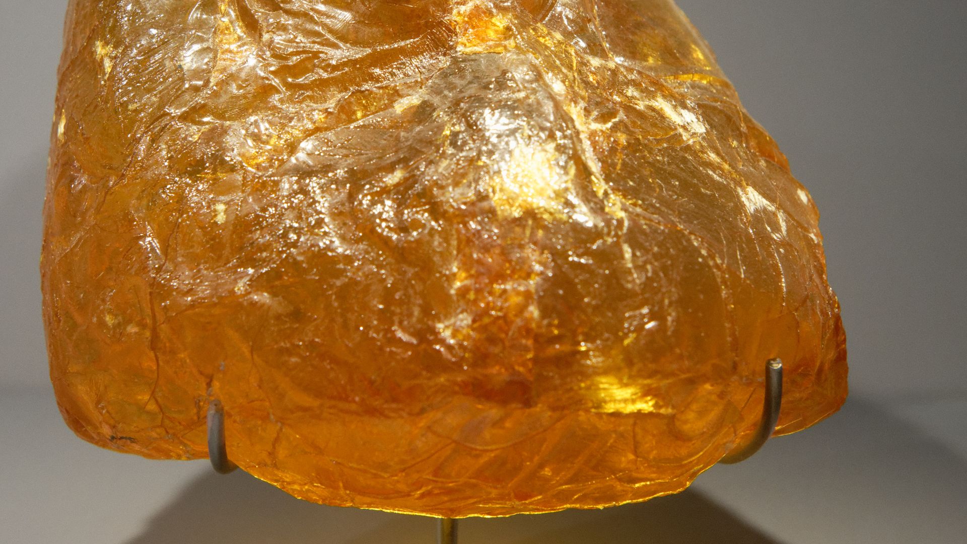 File:Amber Baltic MNHN Minéralogie.jpg