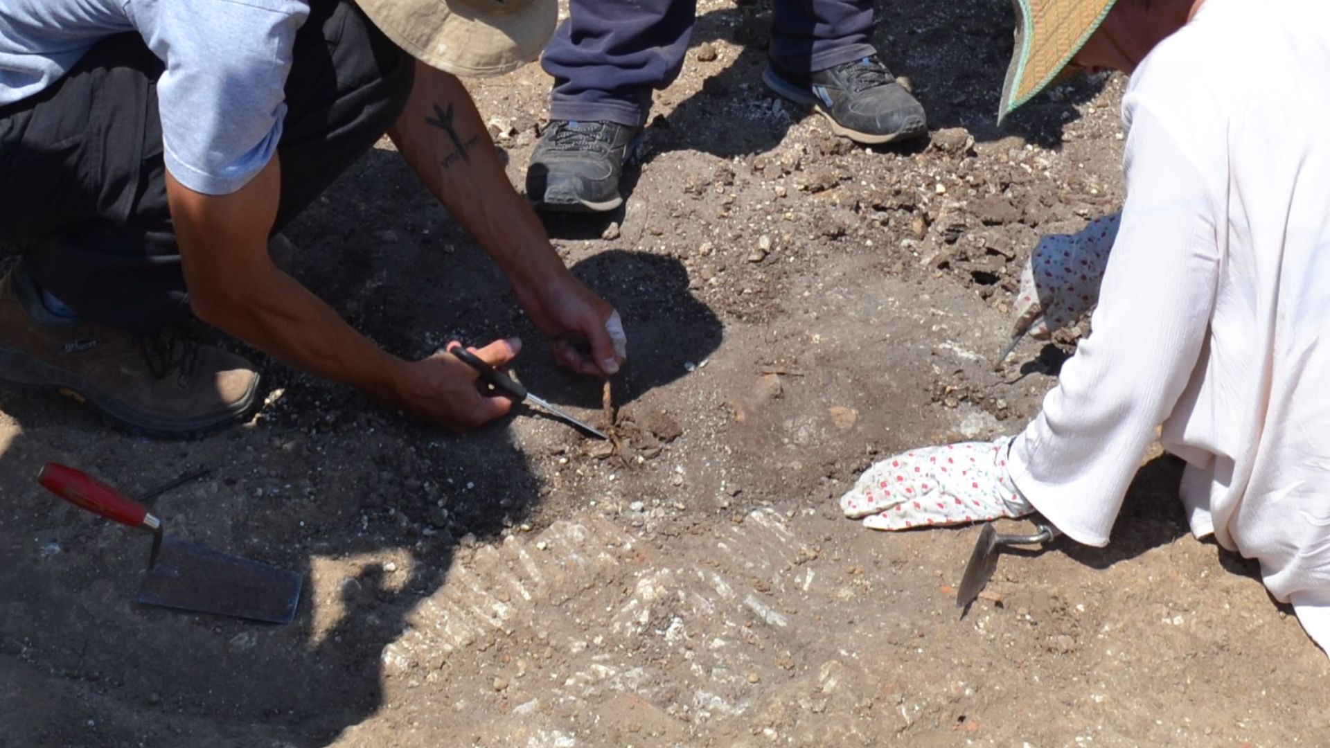 File:Systematic excavation.jpg