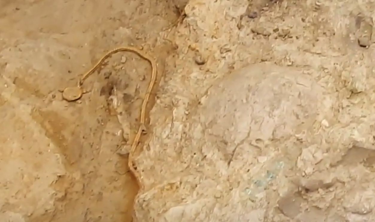 Jewelry And Adornments