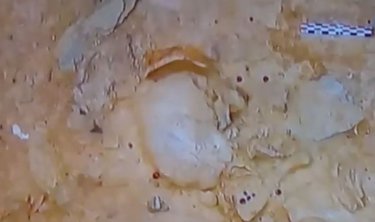 Decoding The Warrior’s Life