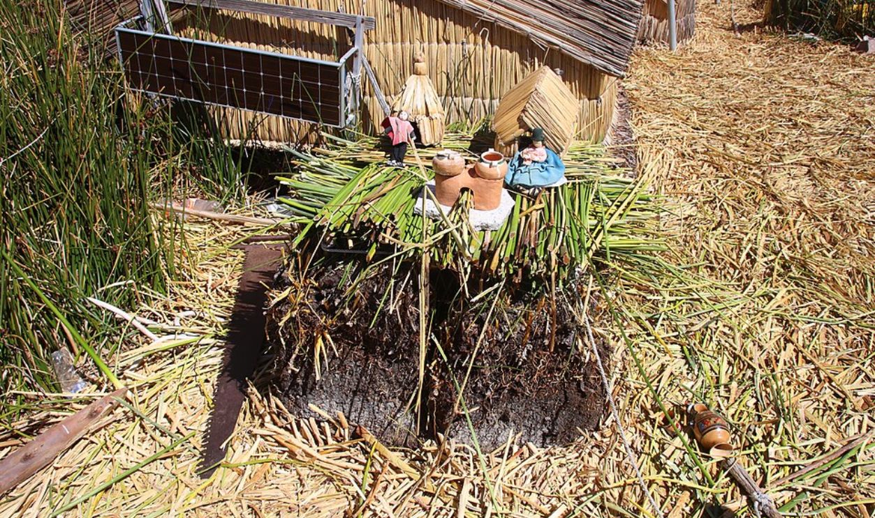 They Grow Food in Floating Gardens