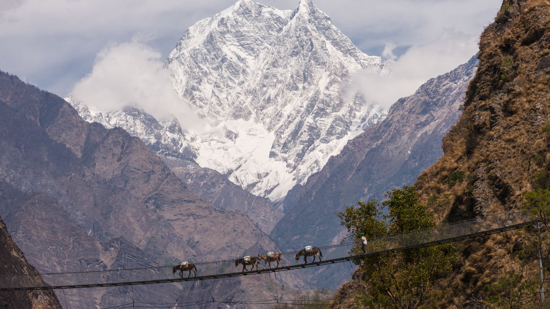 File:160316-031 Bridge near Tatopani.jpg