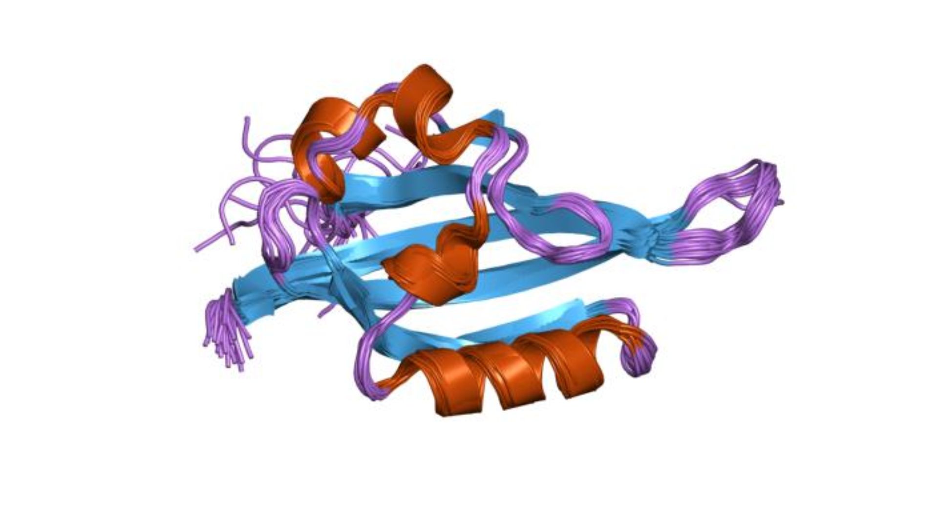 File:PDB 1p97 EBI.jpg