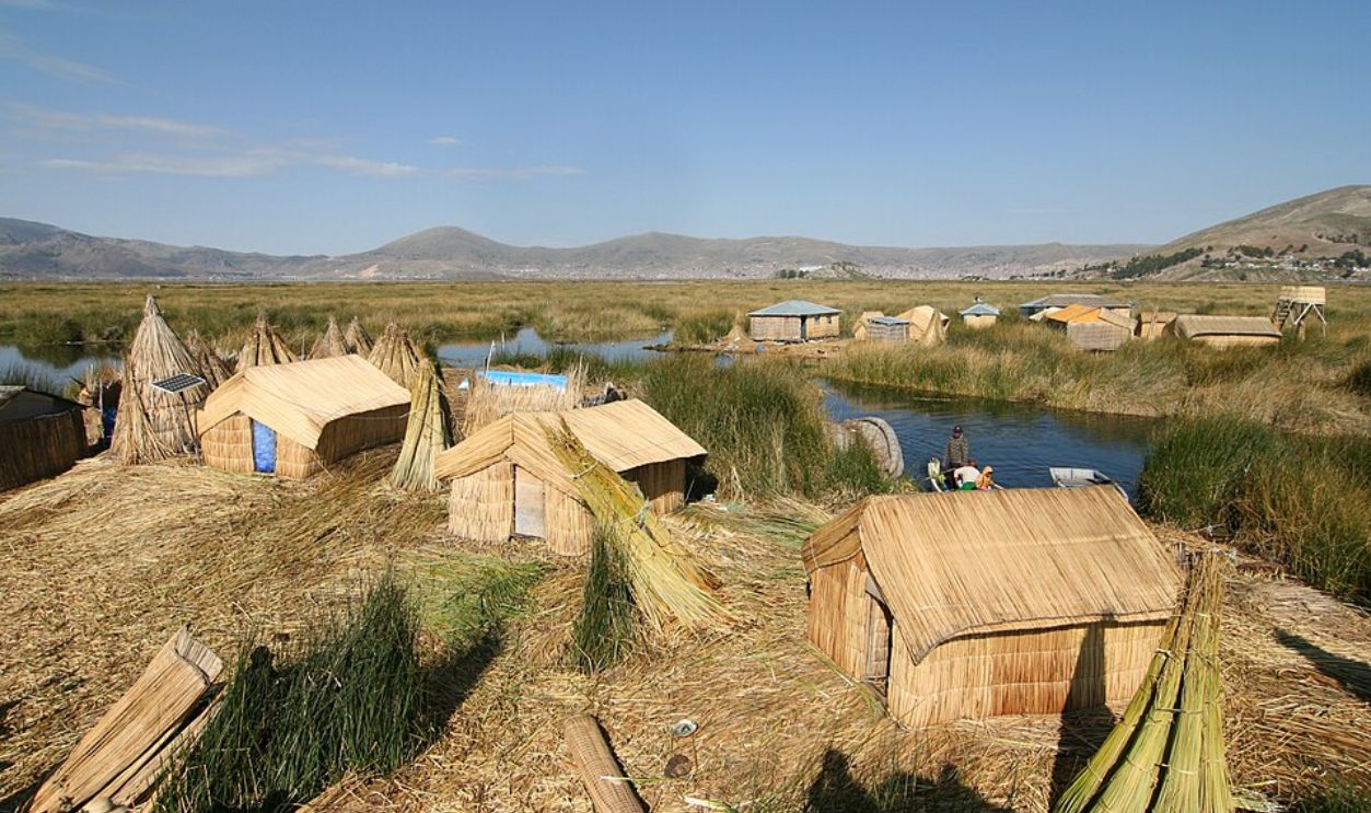 Reeds Are Their Superpower