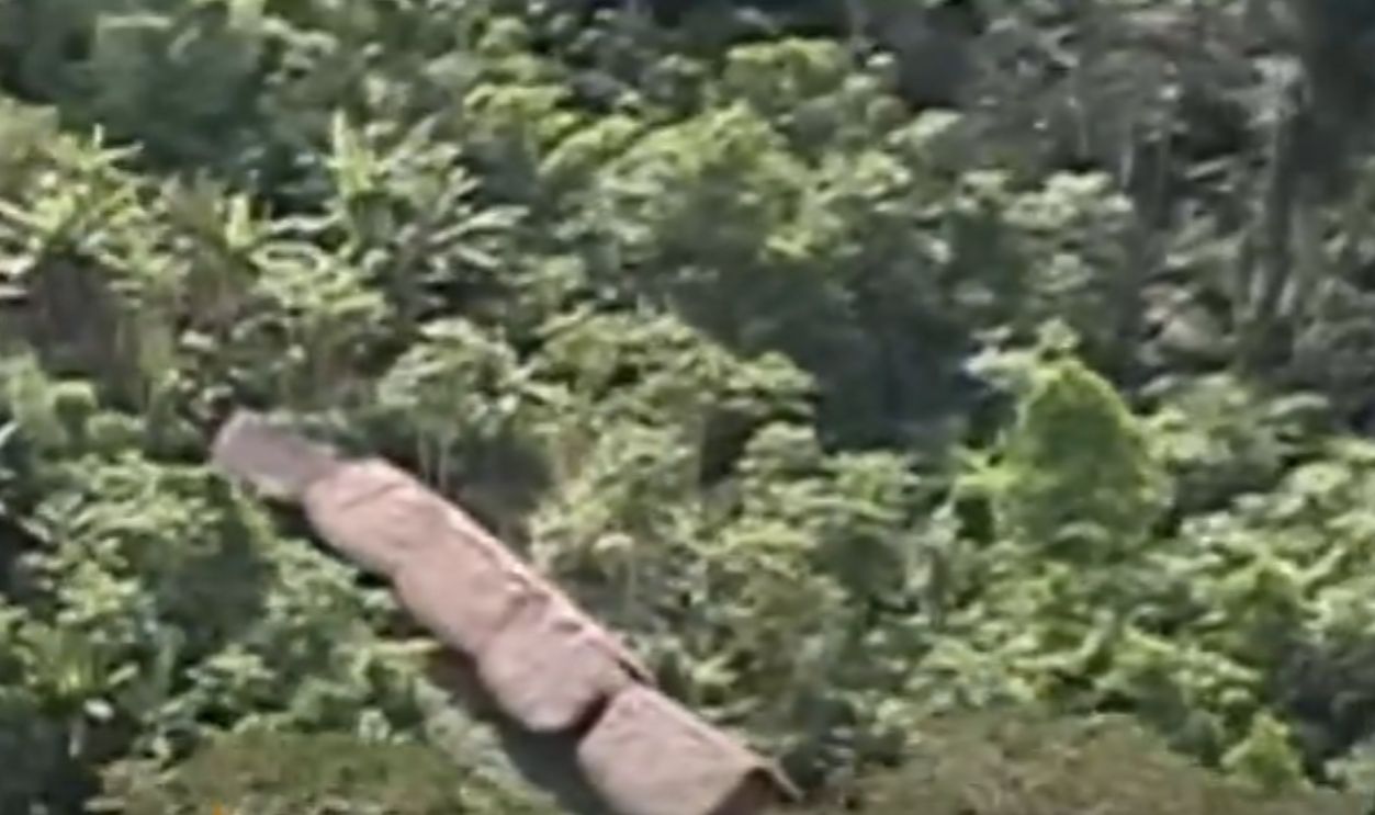 What Do They Live In?