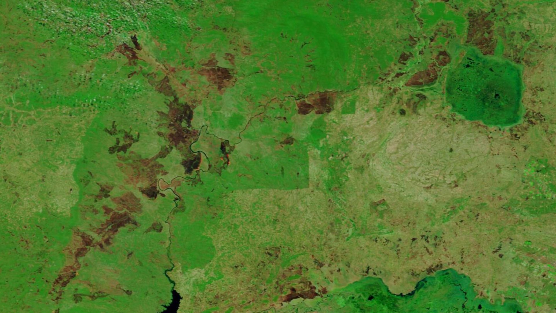 File:Burn Scars near Kafue National Park, Zambia (MODIS).jpg