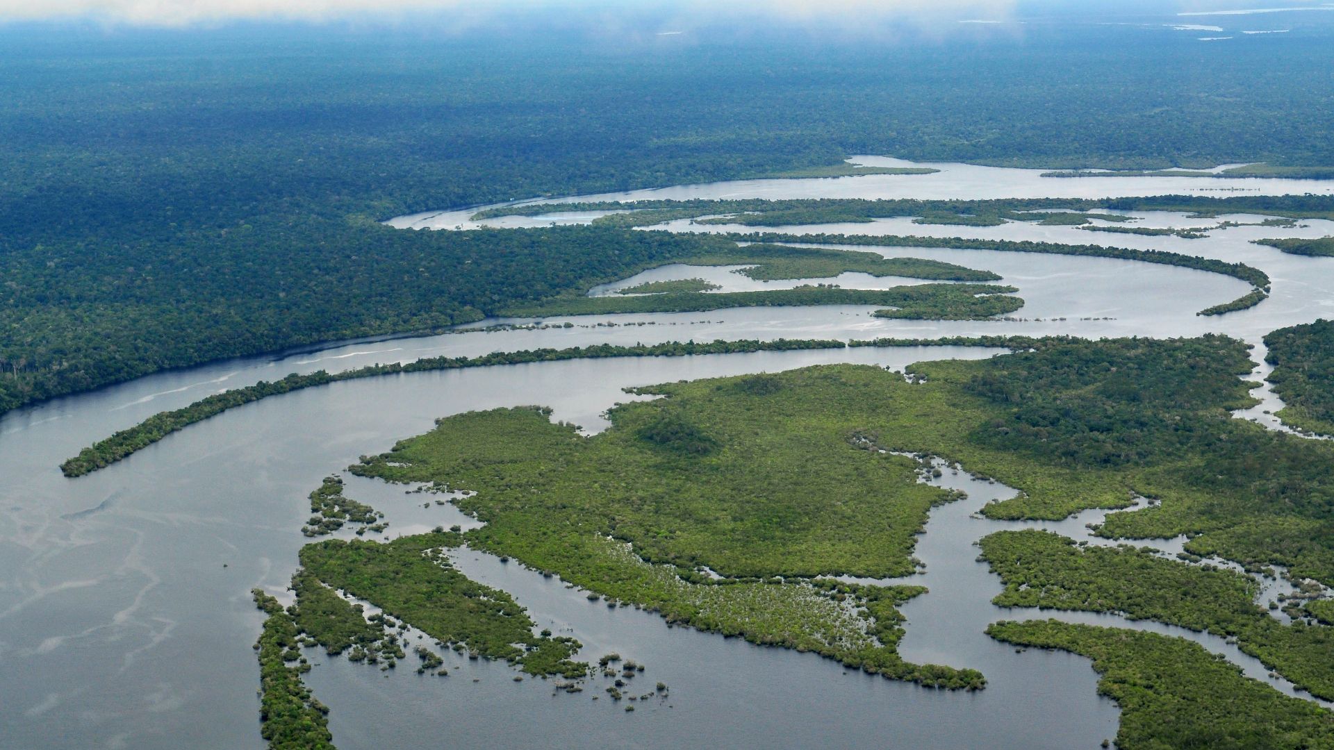 File:Amazon17 (5641020319).jpg