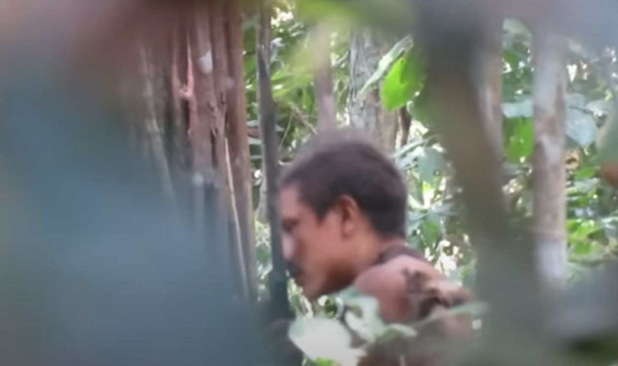 What Do They Look Like?