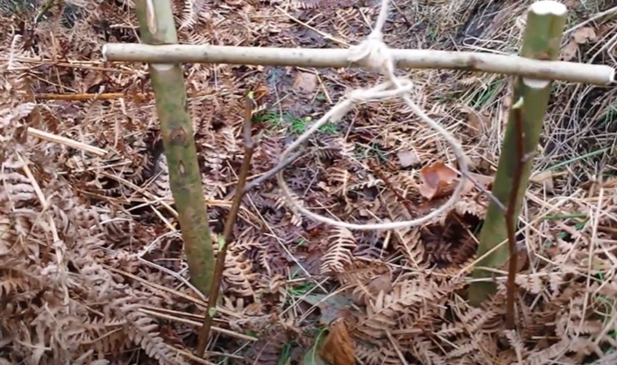 How Do They Stay Hidden?