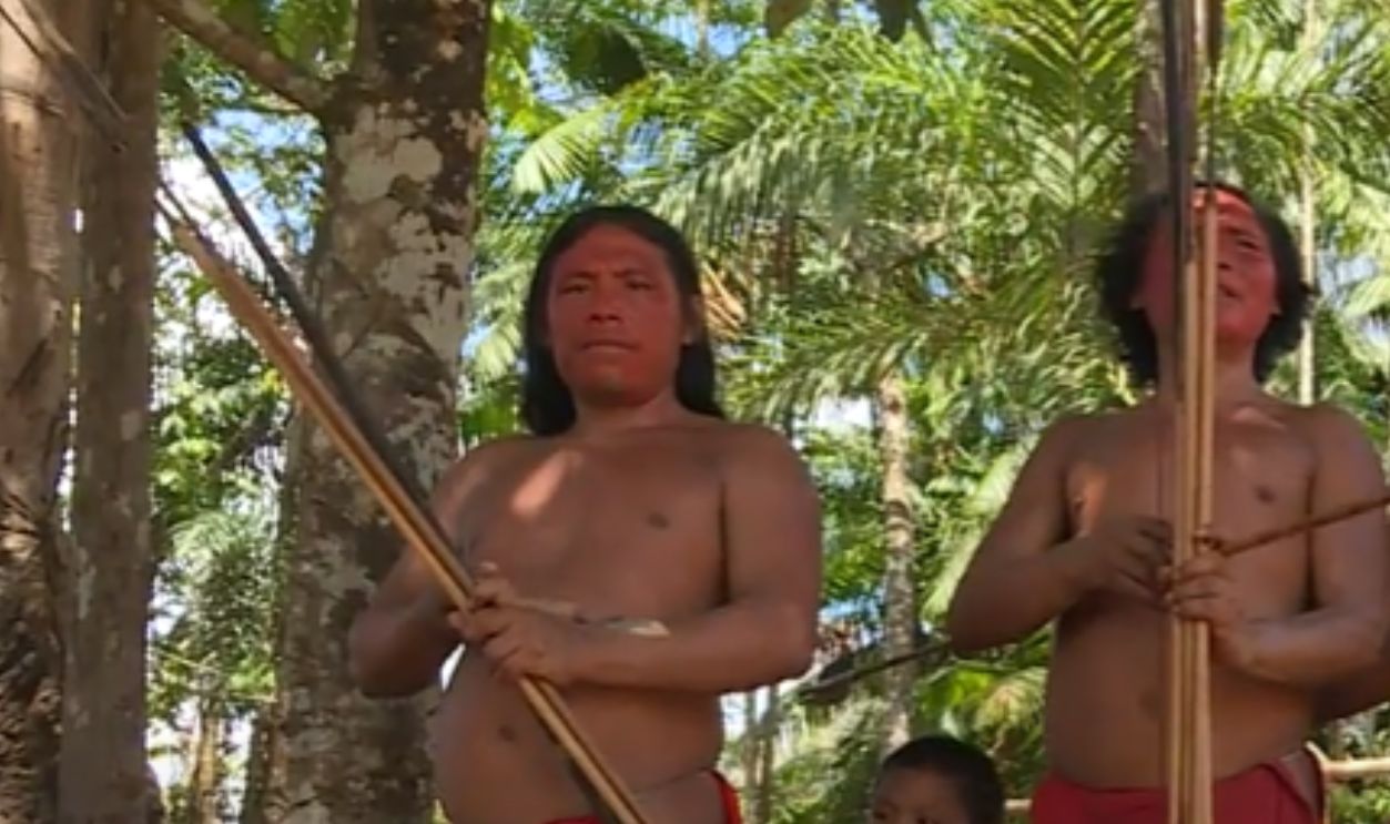 Giant Bows, Tiny People