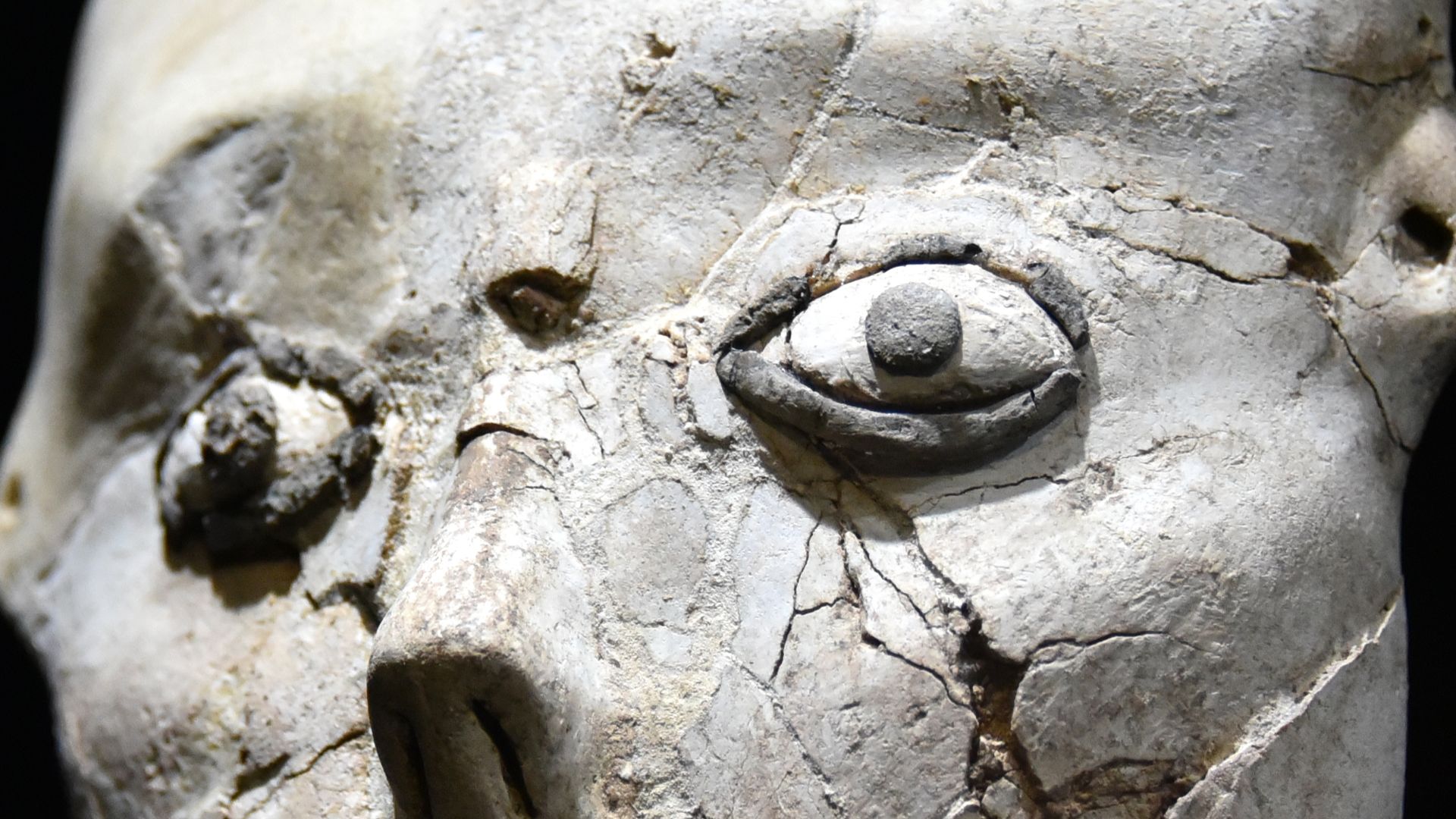 File:Head, human statue from Aig Ghazal, Amman, the Jordan Museum.jpg