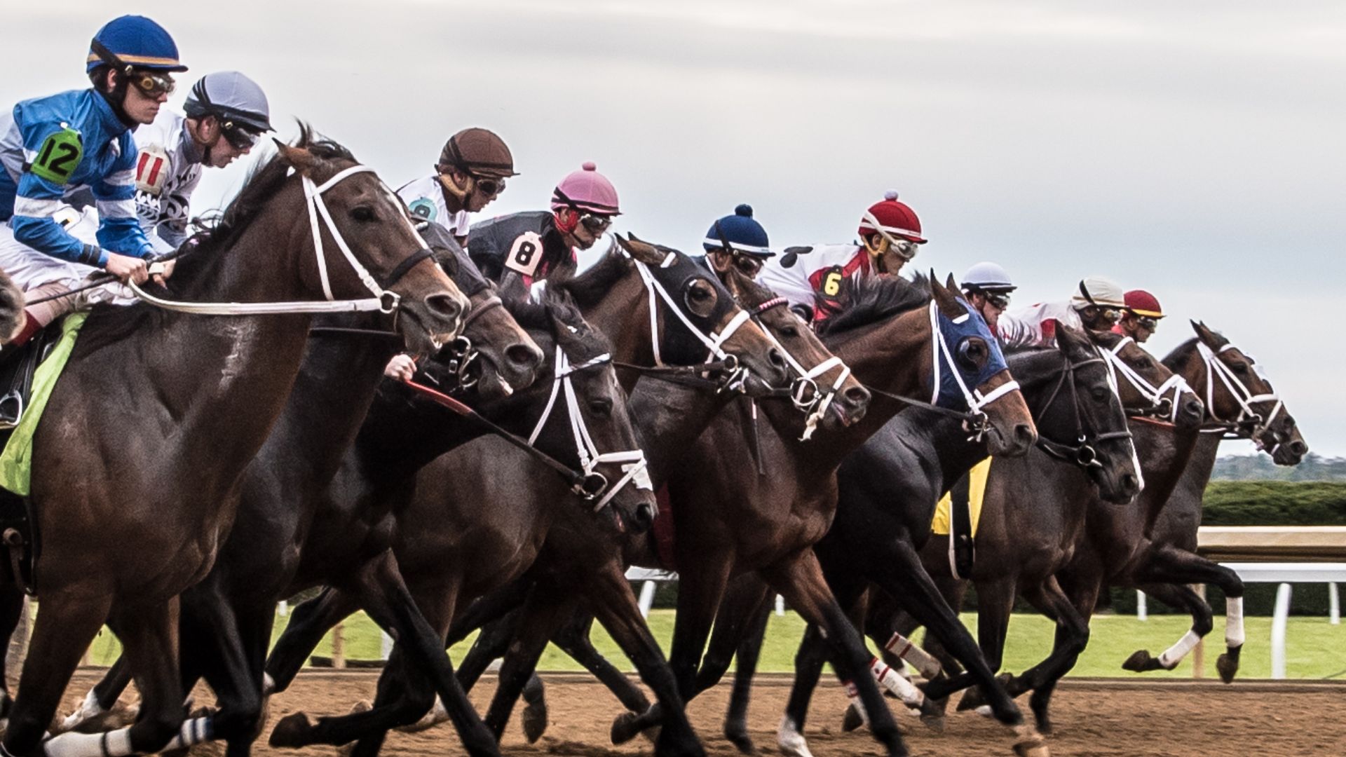 File:Horse Racing at Keeneland Race Track in Lexington, Kentucky (40924704923).jpg