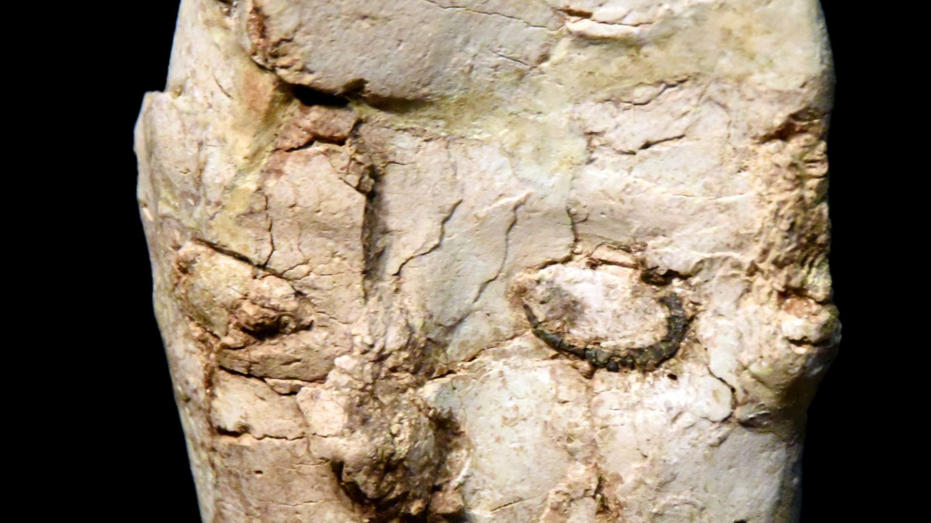 File:Head of human statue from Ain Ghazal, the Jordan Museum, Amman.jpg