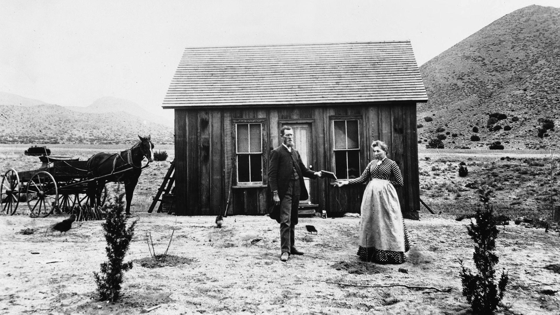 File:Portrait of a California homesteader receiving the patent to her land, 1895-1905 (CHS-7498).jpg