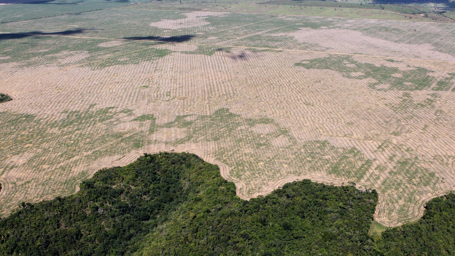 File:Operação Hymenaea, Julho-2016 (29399454651).jpg