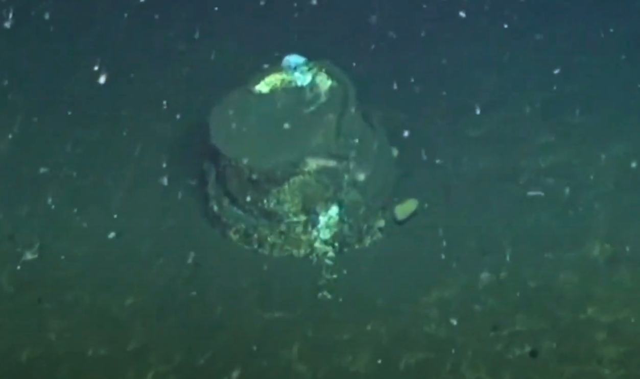 Concrete-Like Crusts