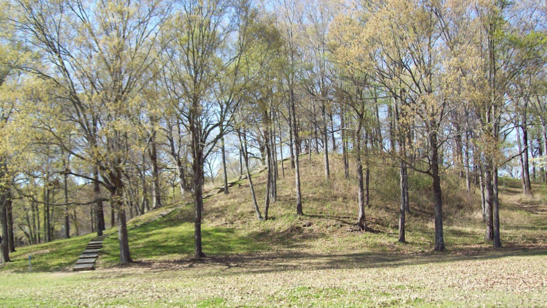 File:Mound A at Poverty Point.jpg