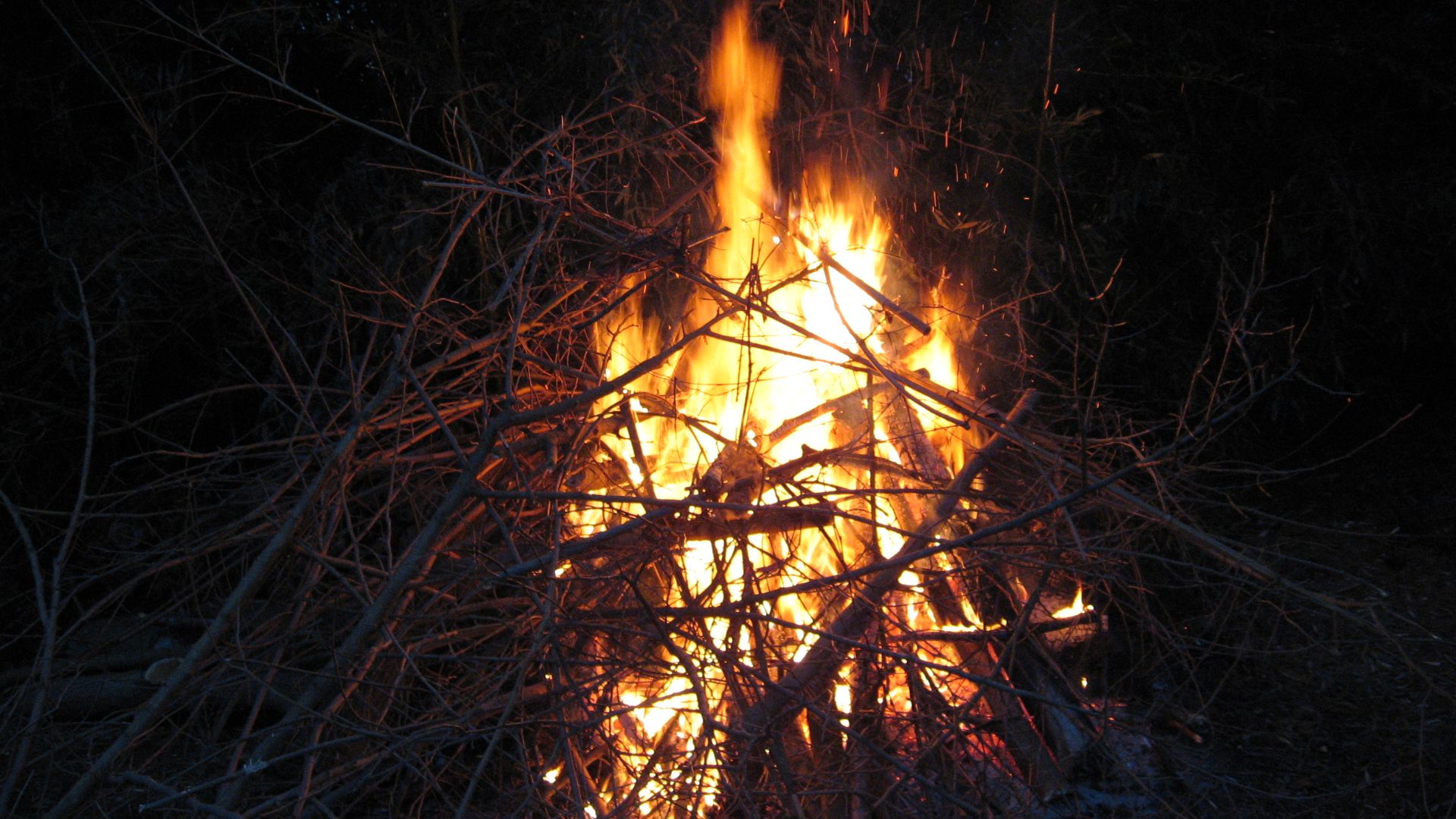 File:Small bonfire.JPG