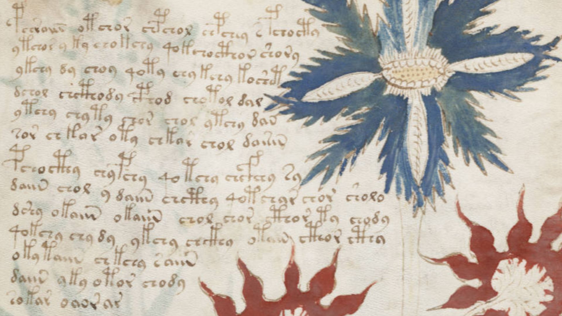 File:Voynich Manuscript (32).jpg