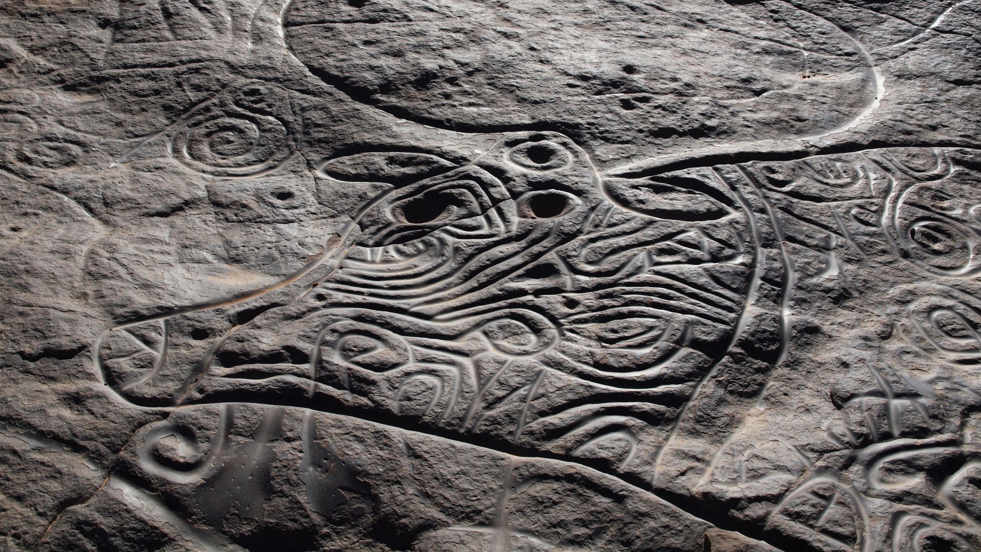 File:Bubalus Tin Taghirt.jpg