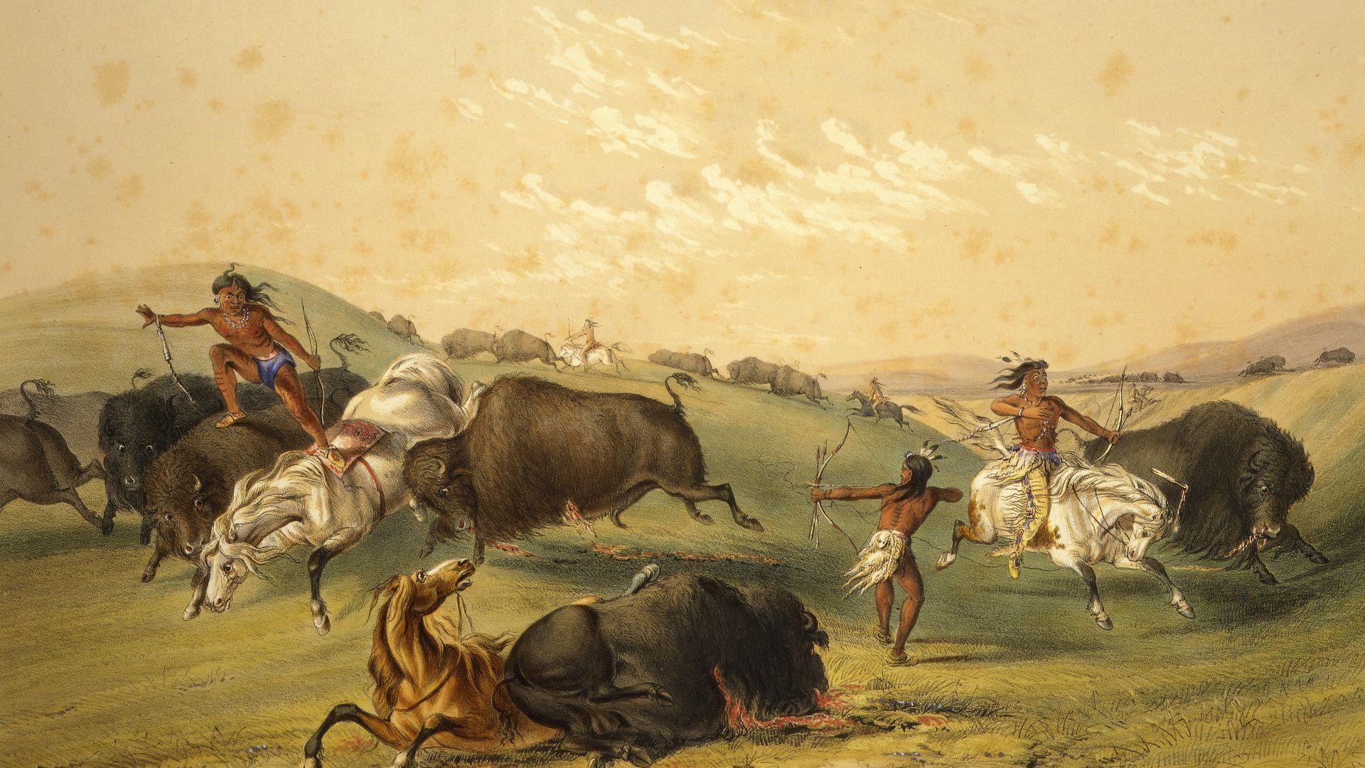 File:George Catlin - Buffalo Hunt, A Numerous Group.jpg