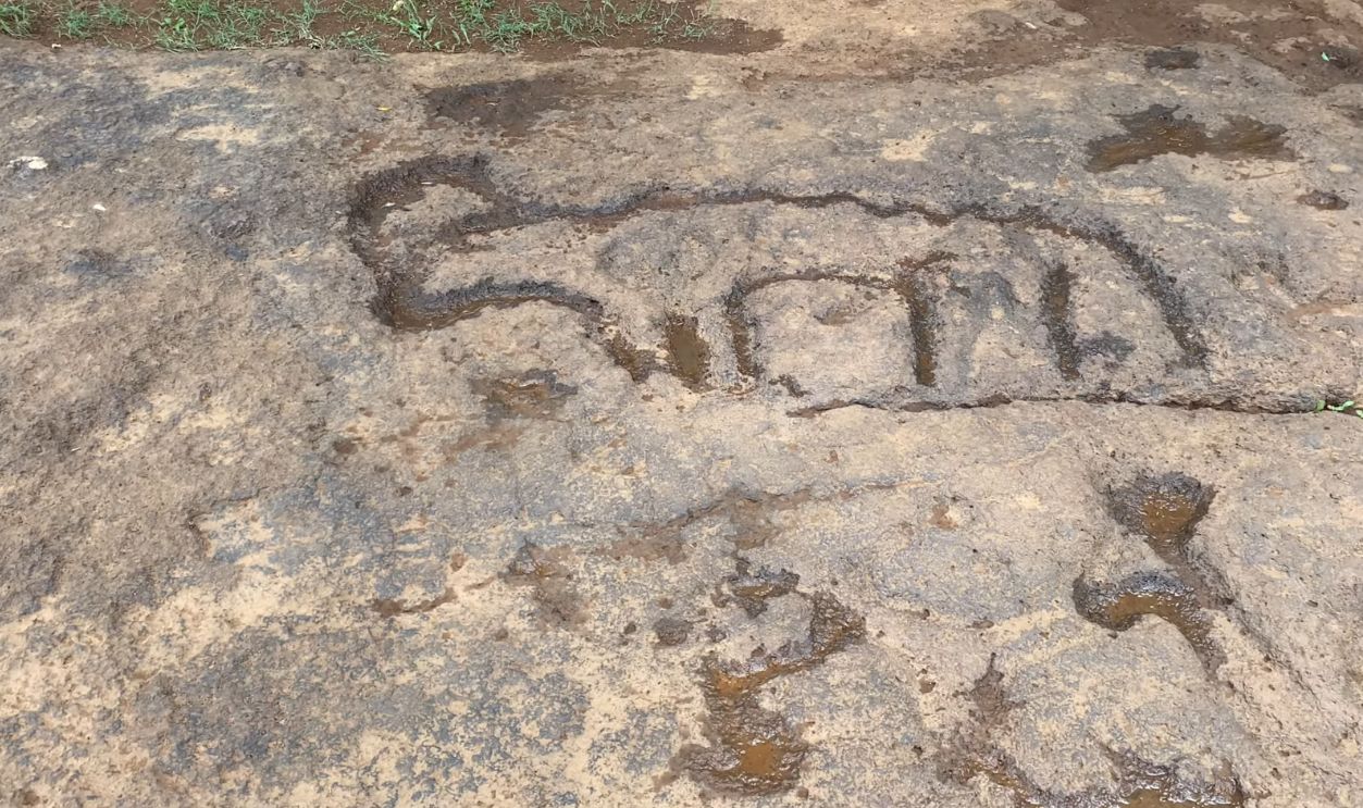  surveys beyond Ratnagiri