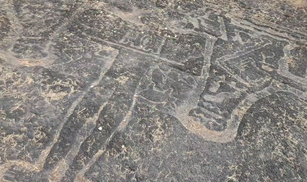  Human Figures Face Wild Animals