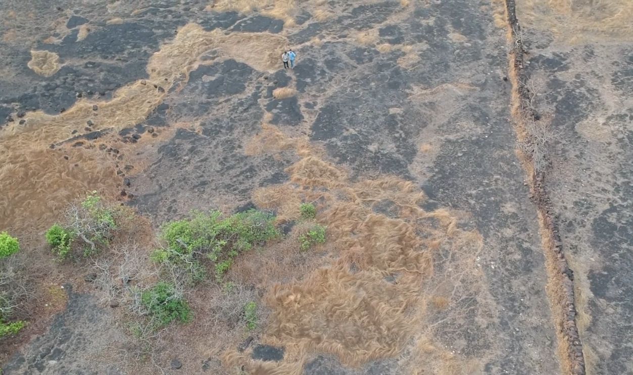 Weathering Of Laterite Surfaces