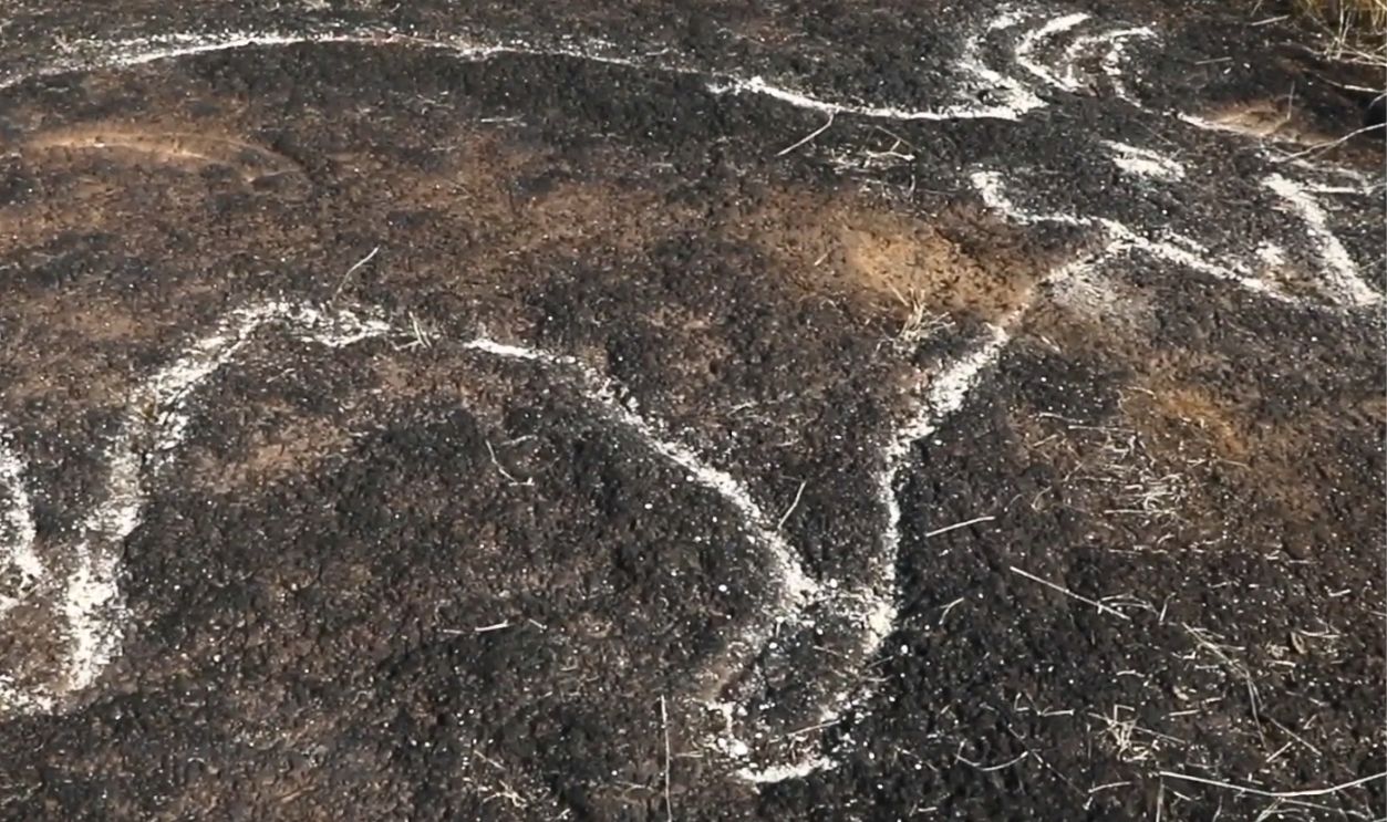 Intro+Simplefeed Rss Thumbnail/Msn Rss Thumbnail/