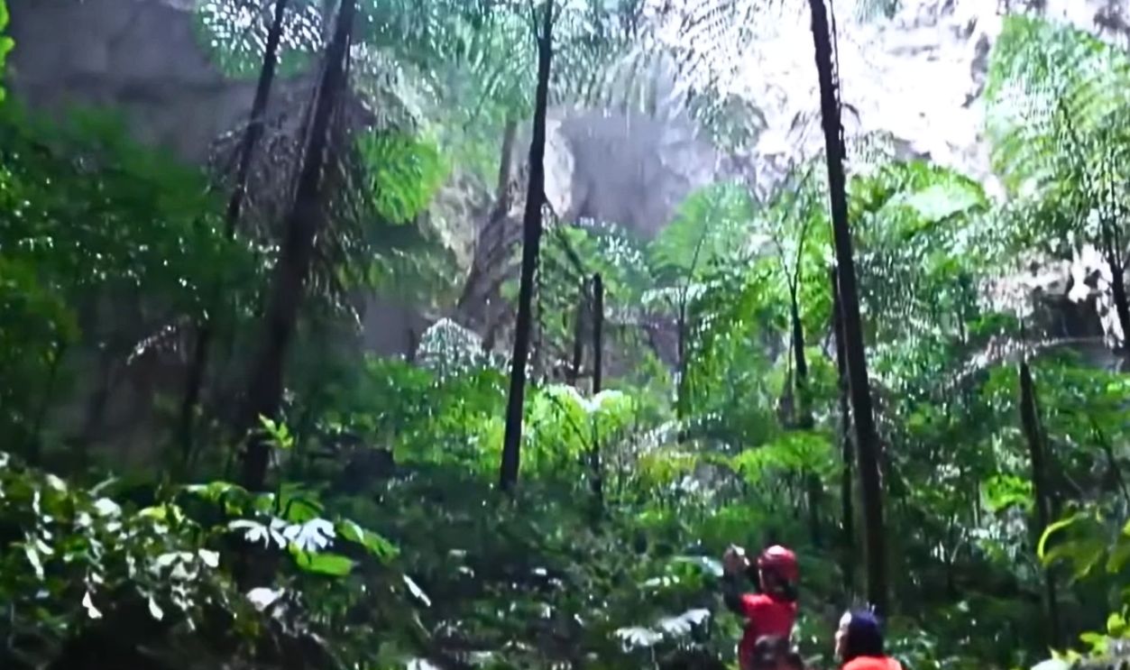 First Steps Into Another World