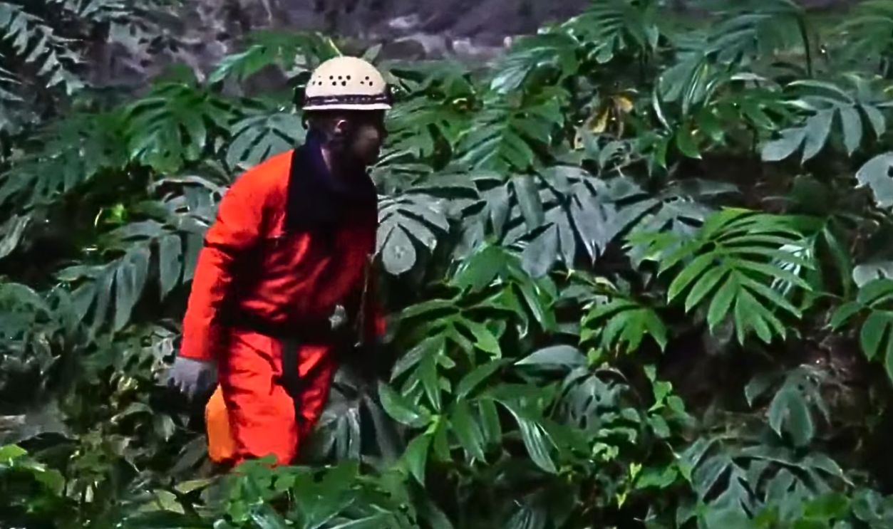 The Prehistoric Look