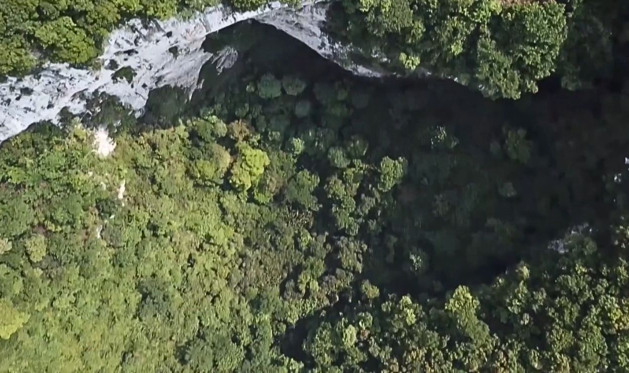 Microclimate Of The Sinkhole