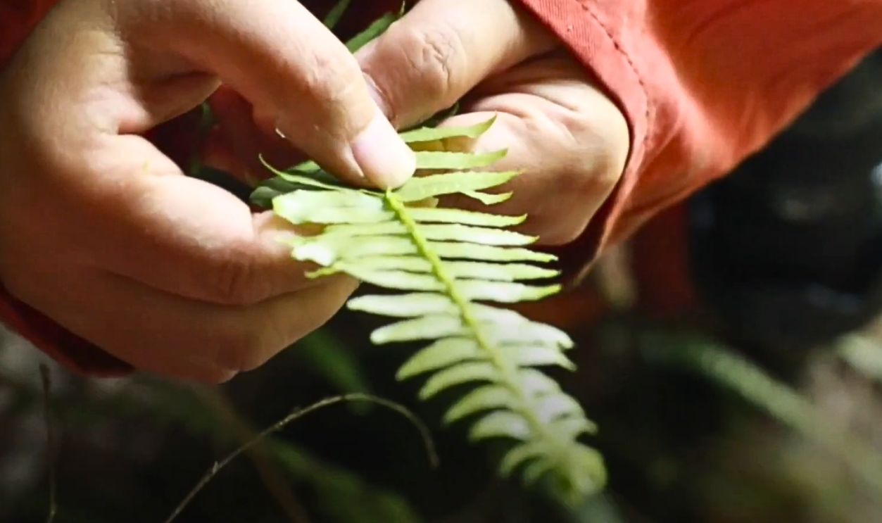 What Comes Next For Science