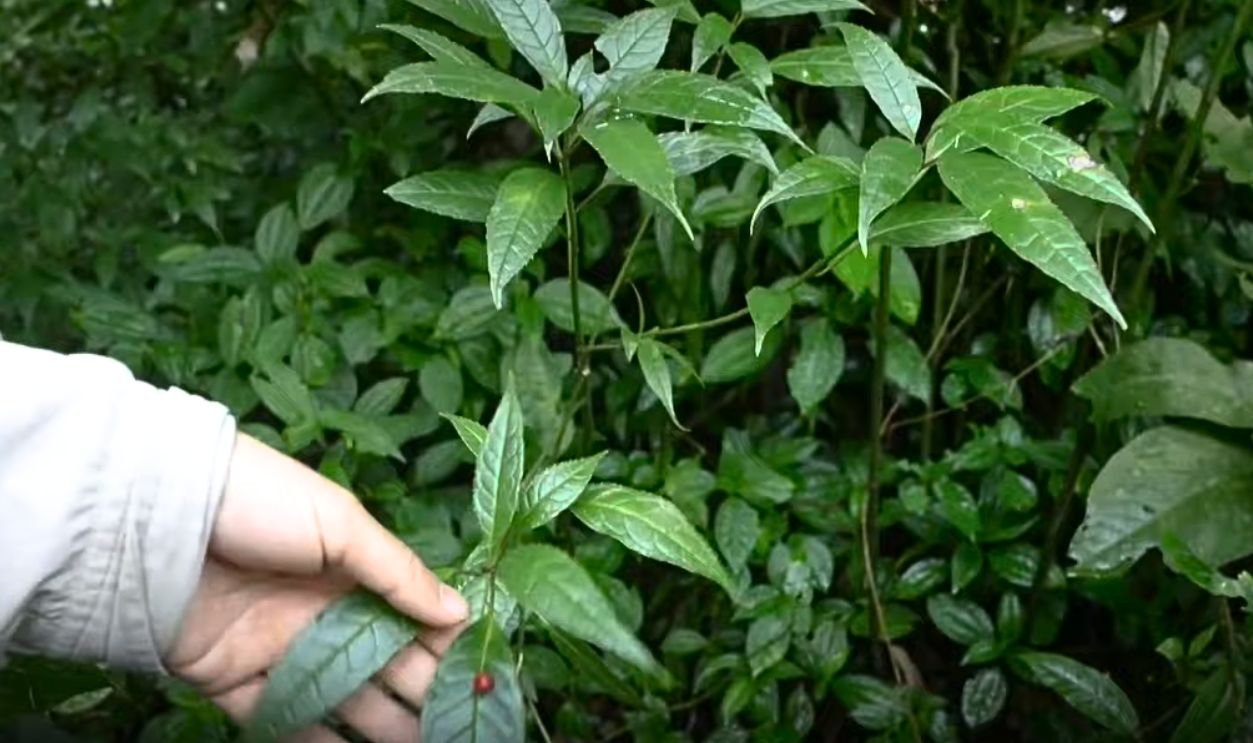 Why Scientists Care Deeply