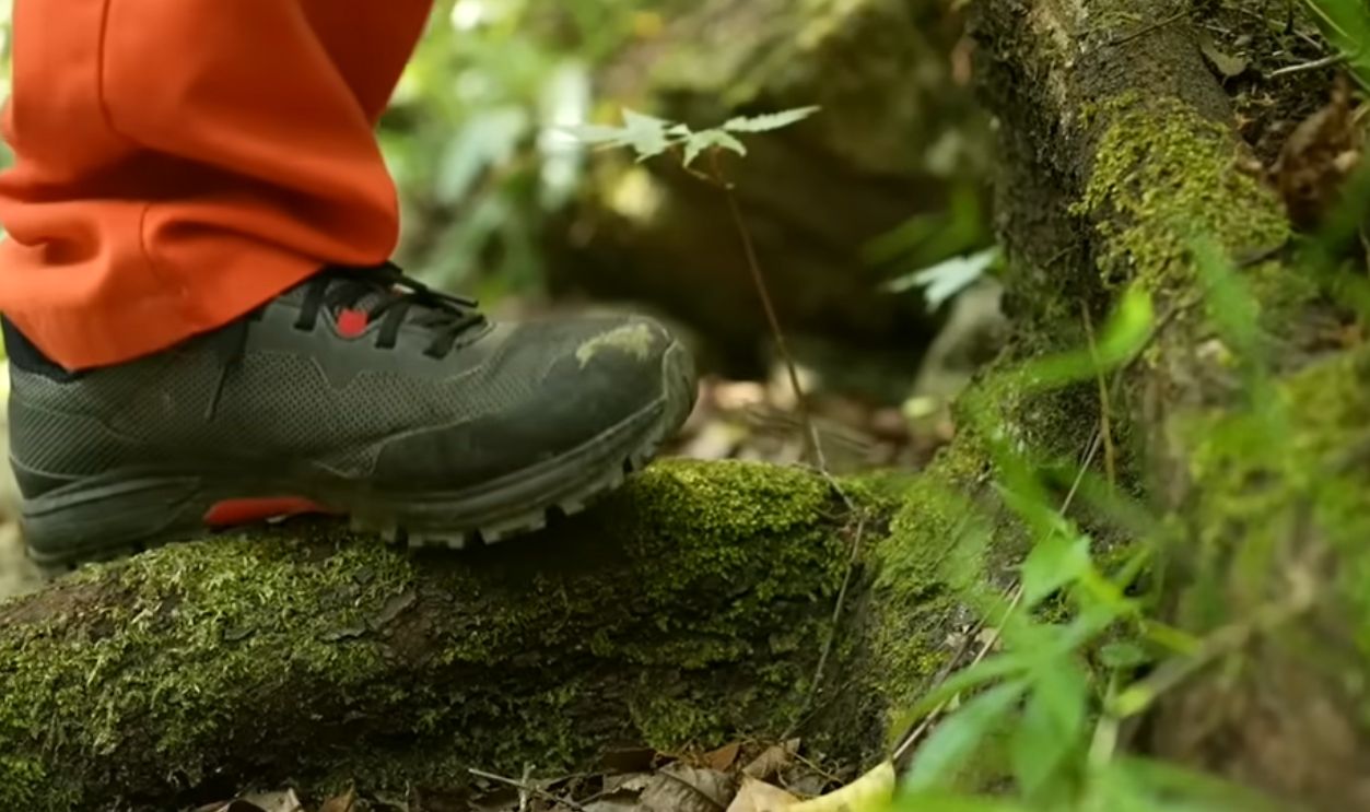 A Glimpse Into Earth’s Past