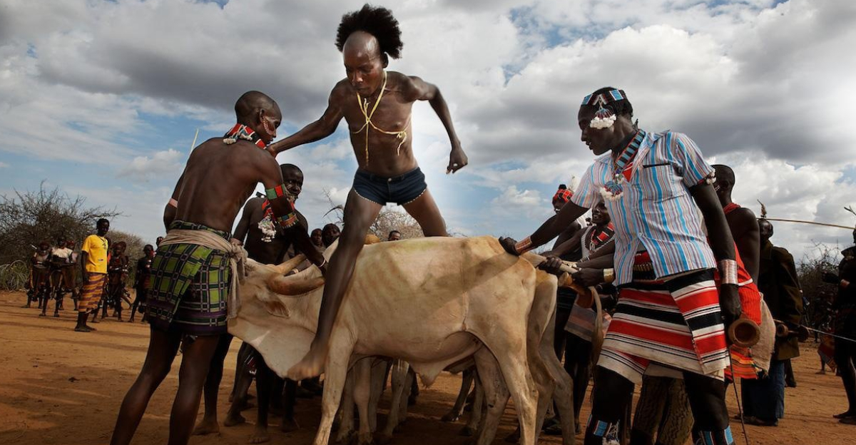 Bull Jumping Tribe Msn