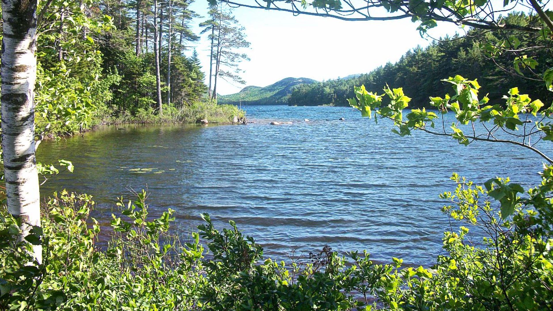 File:EAGLE LAKE, BAR HARBOR, MAINE.jpg