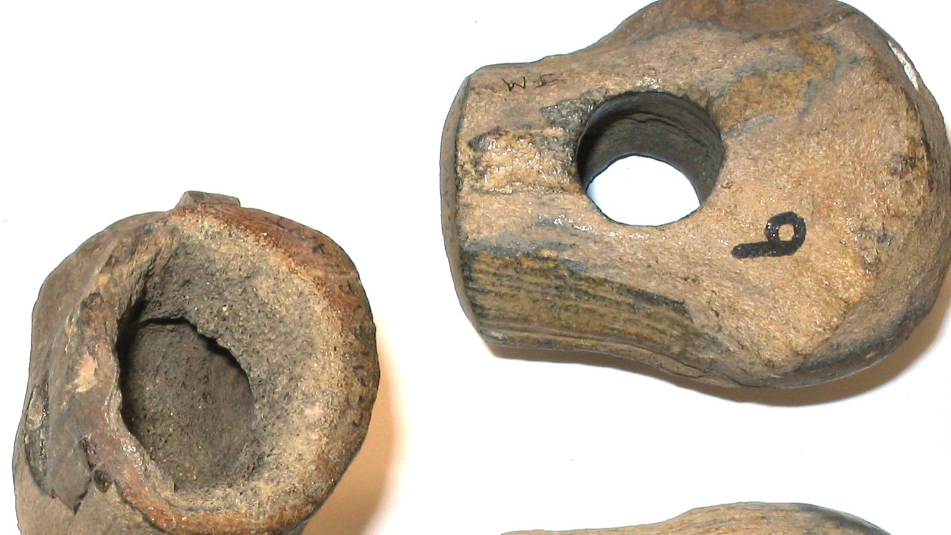 File:Neolithic or Bronze Age Mace Head of Red Deer Antler (FindID 184900).jpg