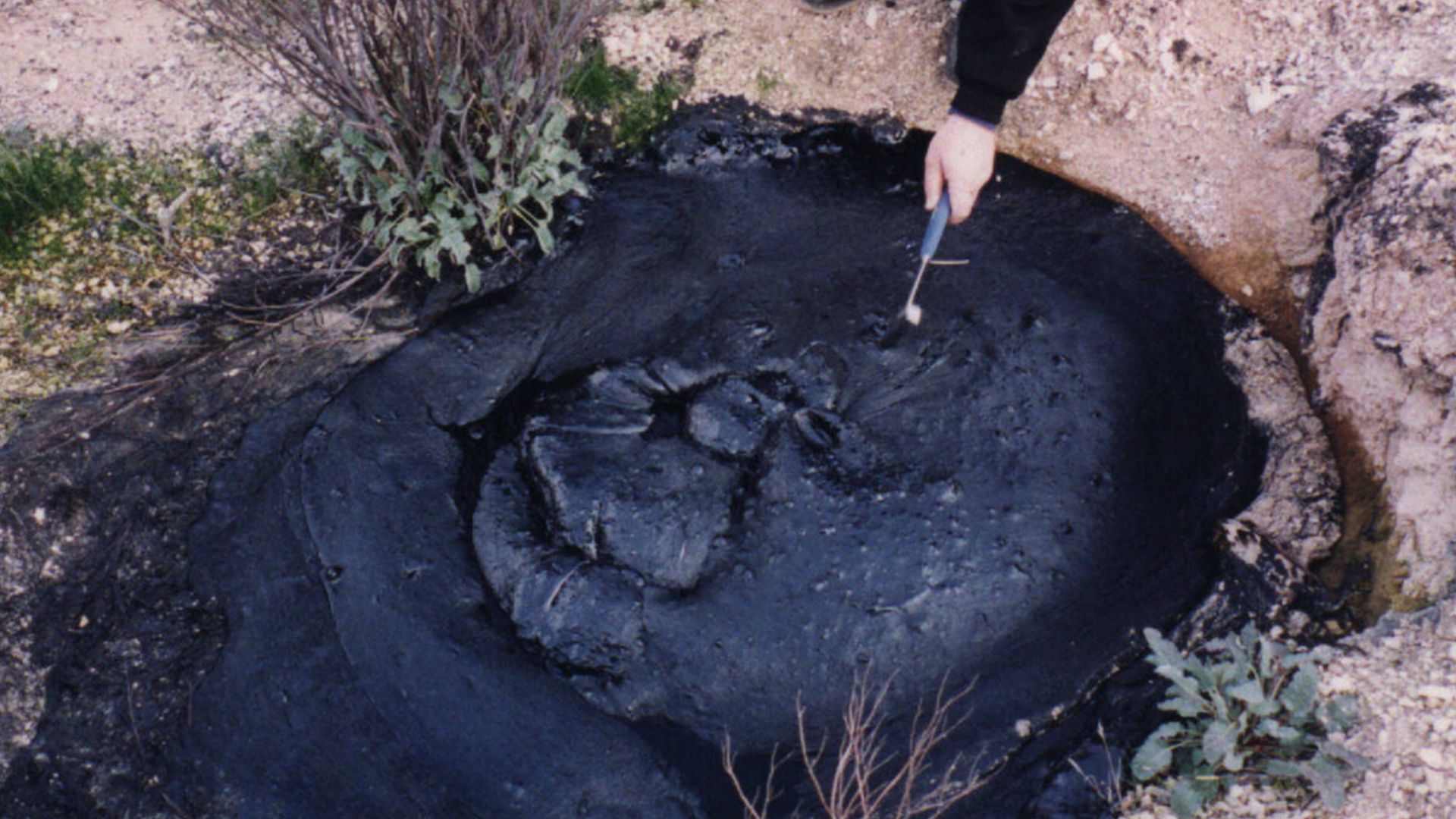 File:McKittrick Tar Seep North of Highway 58.jpg