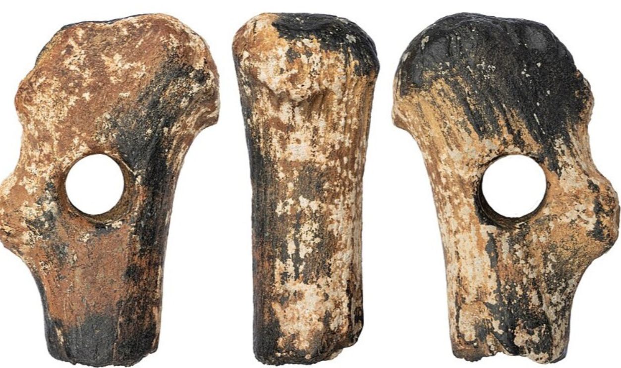 Untitled Design - 2025-09-20T174033.794