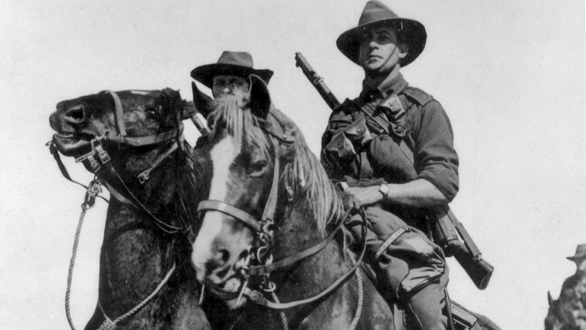 File:Light horse walers.jpg