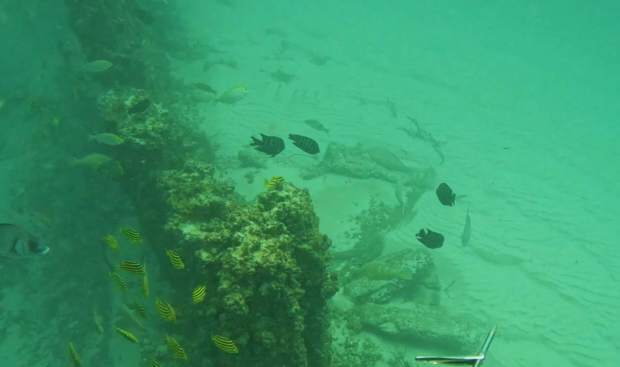 UNBELIEVABLE UNDERWATER GREAT WALL OF CHINA