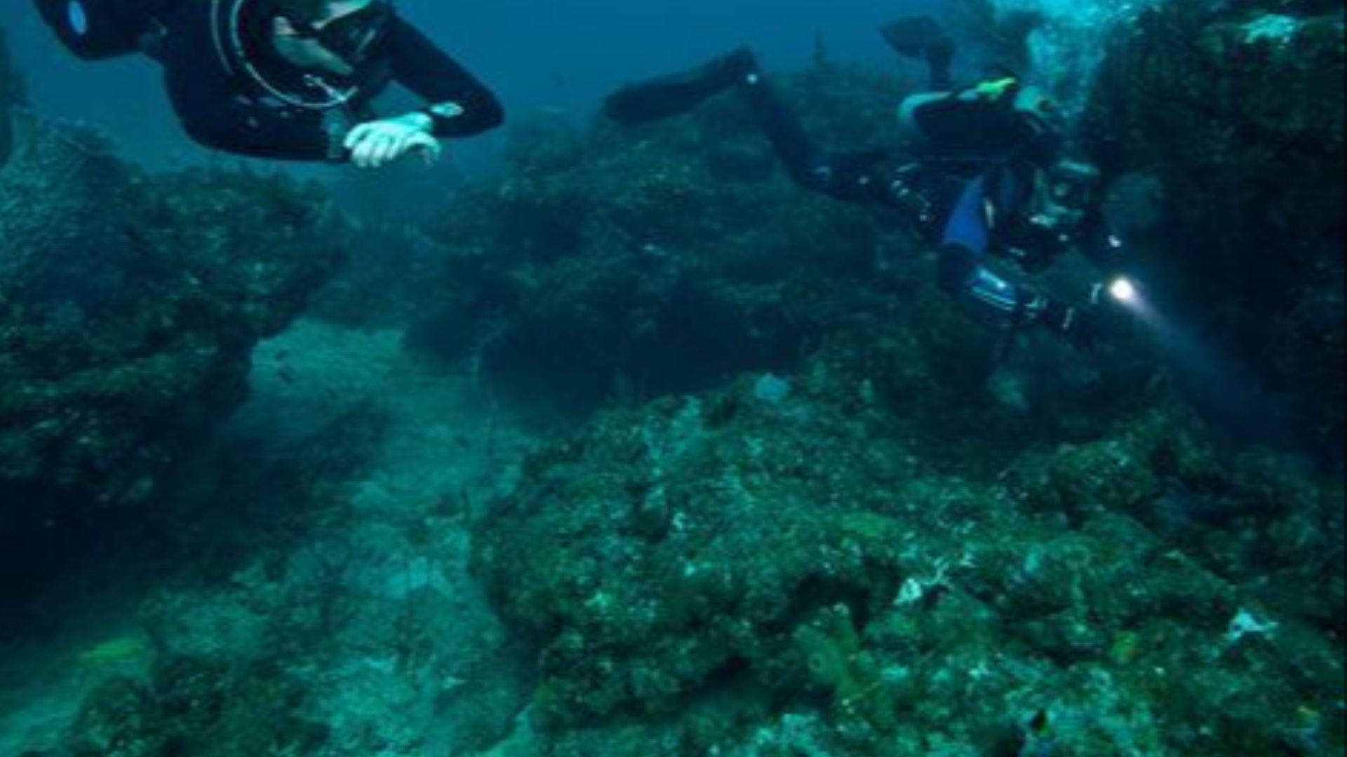 File:DIR Divers Sandra edwards 2010.JPG